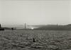 Golden Gate Bridge Sunset, black and white photograph, Golden Gate Park, San Francisco, Bill Dietch
