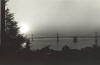 Sunrise Over the Bay #2, black and white photograph, Golden Gate Park, San Francisco, Bill Dietch